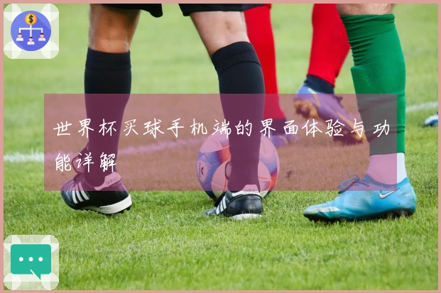 世界杯买球手机端的界面体验与功能详解