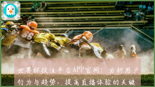 世界杯投注平台APP官网：分析用户行为与趋势，提高直播体验的关键所在