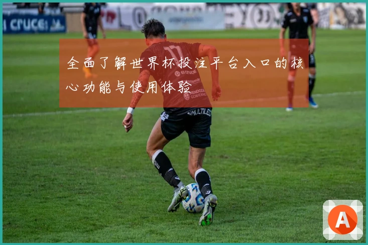 全面了解世界杯投注平台入口的核心功能与使用体验