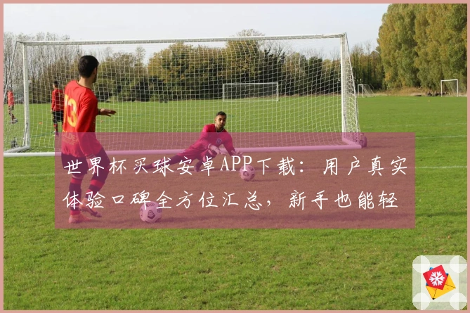 世界杯买球安卓APP下载：用户真实体验口碑全方位汇总，新手也能轻松上手