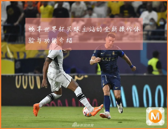 畅享世界杯买球主站的全新操作体验与功能介绍