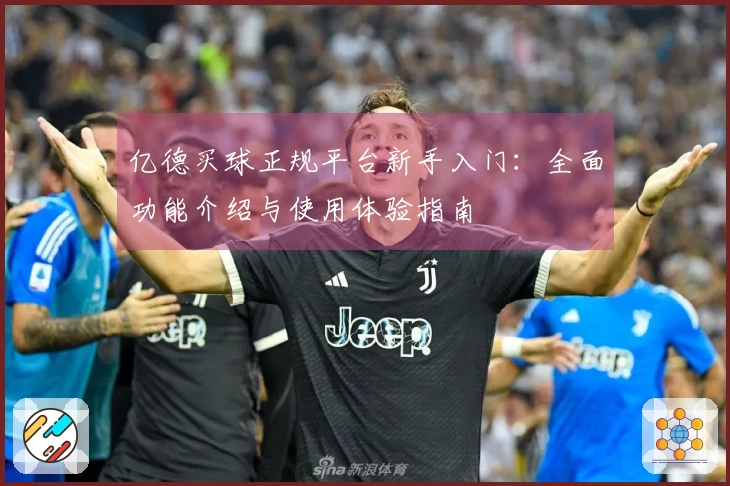 亿德买球正规平台新手入门：全面功能介绍与使用体验指南