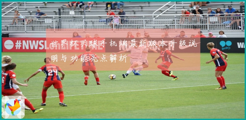 世界杯买球手机端最新版本升级说明与功能亮点解析