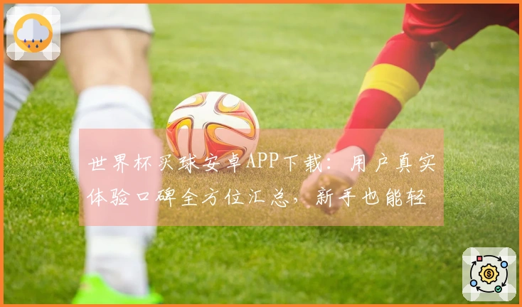 世界杯买球安卓APP下载：用户真实体验口碑全方位汇总，新手也能轻松上手
