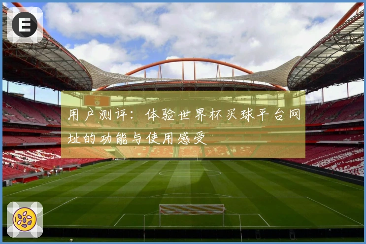 用户测评：体验世界杯买球平台网址的功能与使用感受
