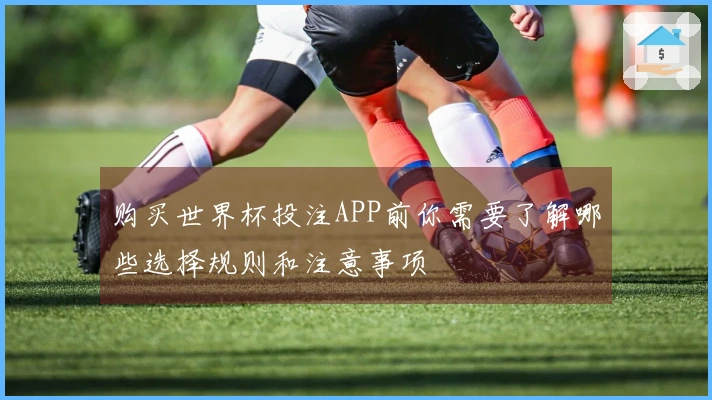 购买世界杯投注APP前你需要了解哪些选择规则和注意事项