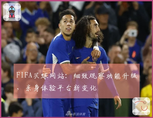 FIFA买球网站：细致观察功能升级，亲身体验平台新变化