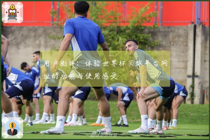 用户测评：体验世界杯买球平台网址的功能与使用感受