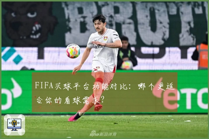 FIFA买球平台功能对比：哪个更适合你的看球需求？