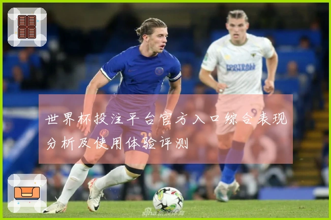 世界杯投注平台官方入口综合表现分析及使用体验评测