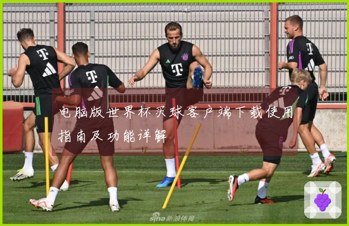 电脑版世界杯买球客户端下载使用指南及功能详解