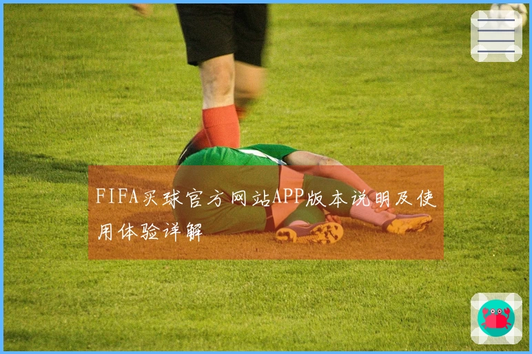 FIFA买球官方网站APP版本说明及使用体验详解