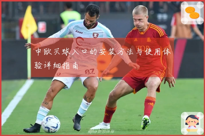 中欧买球入口的安装方法与使用体验详细指南